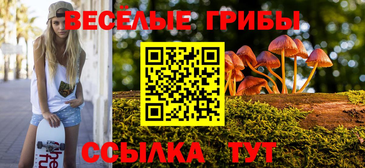 Галлюциногенные грибы мицелий  Вход с VPN  Электрогорск 